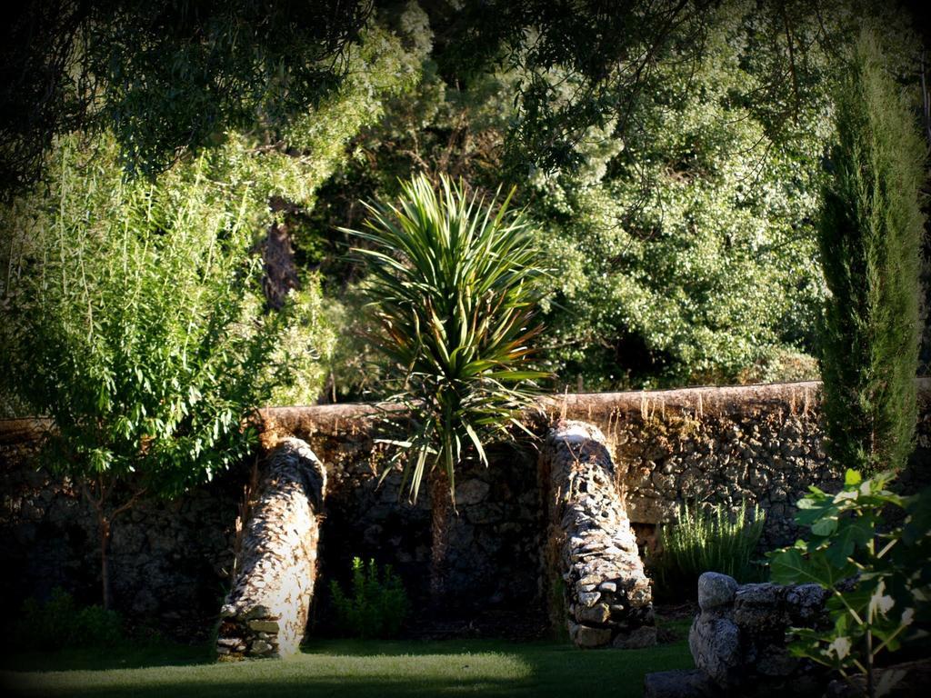 Penzion Almazara De San Pedro (Adults Only) Eljas Exteriér fotografie